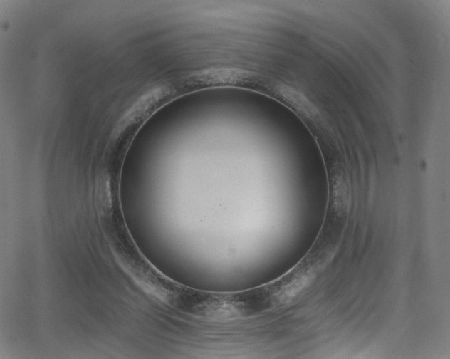 X0000062930254200601131519