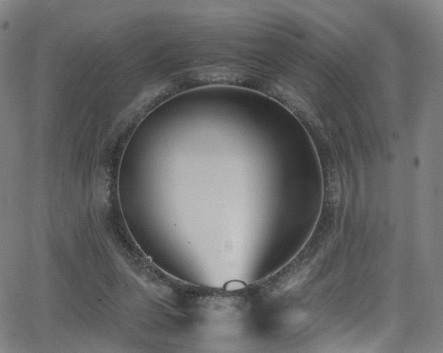 X0000062930255200601131519