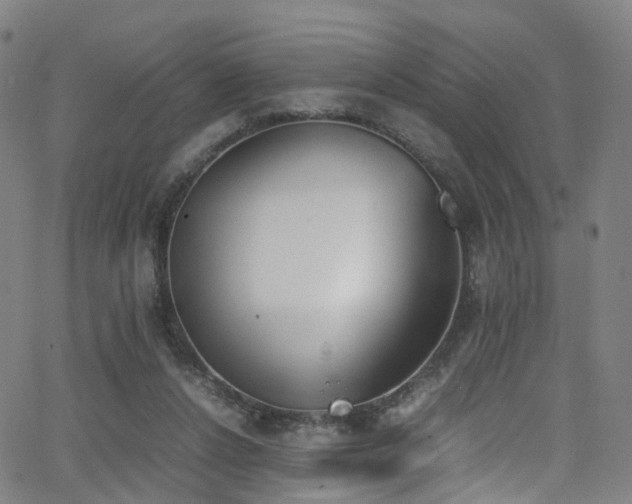 X0000062930256200601131519