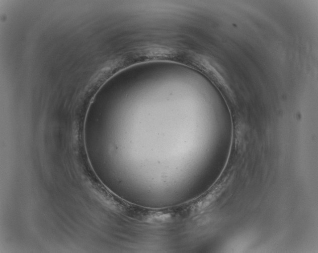 X0000062930257200601131519