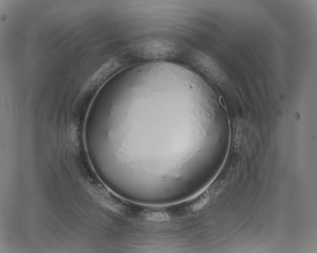 X0000062930258200601131519