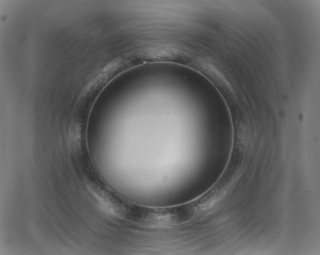 X0000062930260200601131519