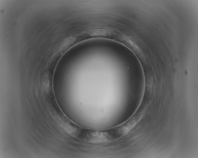 X0000062930261200601131519