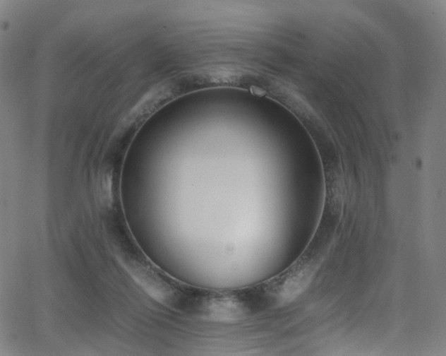 X0000062930262200601131519