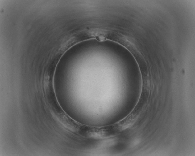 X0000062930263200601131519