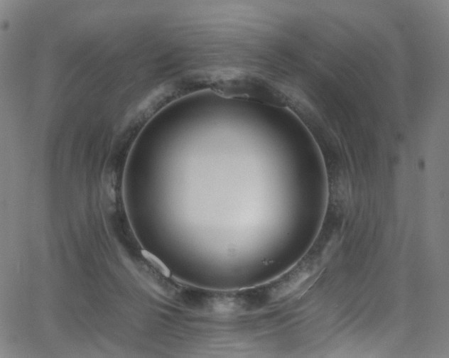 X0000062930264200601131519