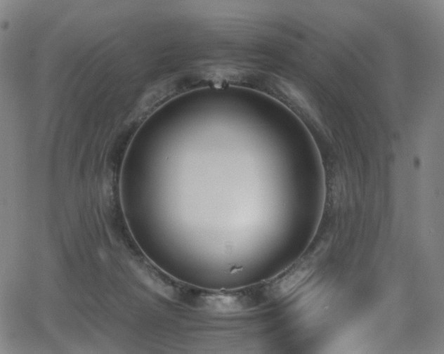 X0000062930265200601131519