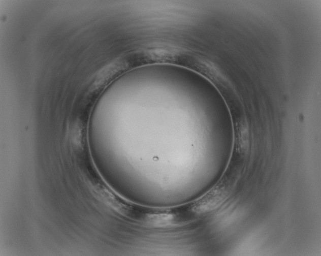 X0000062930266200601131519