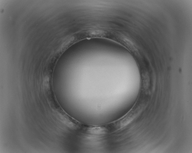 X0000062930269200601131519