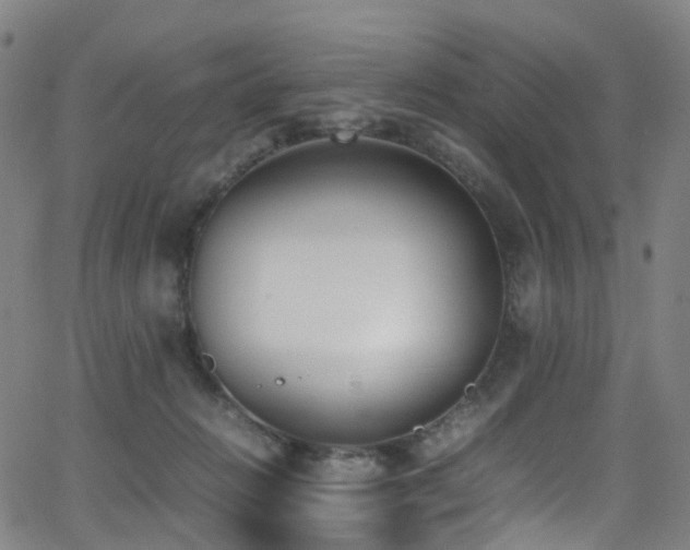 X0000062930270200601131519