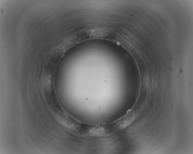 X0000062930271200601131519