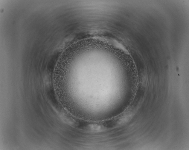 X0000062930272200601131519