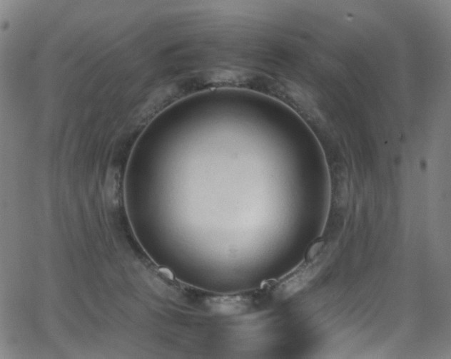 X0000062930273200601131519