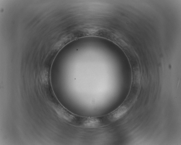 X0000062930274200601131519