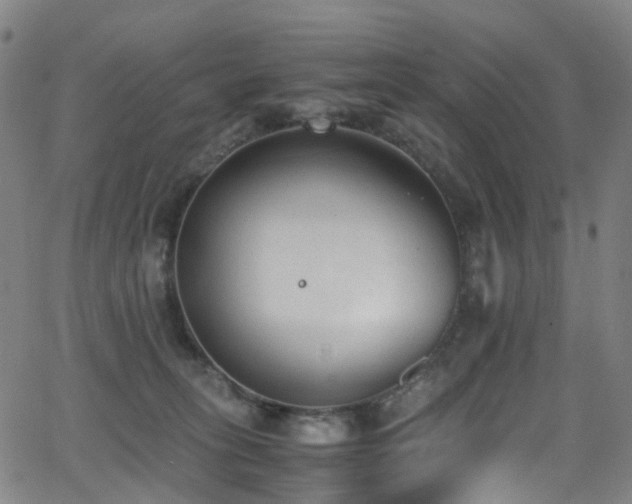 X0000062930275200601131519