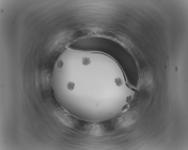 X0000062930276200601131519