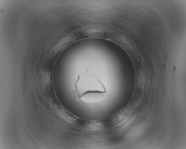 X0000062930278200601131519