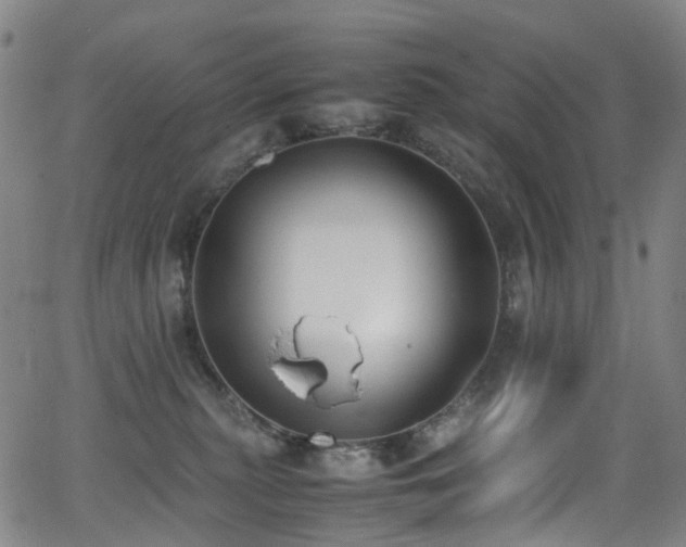 X0000062930279200601131519