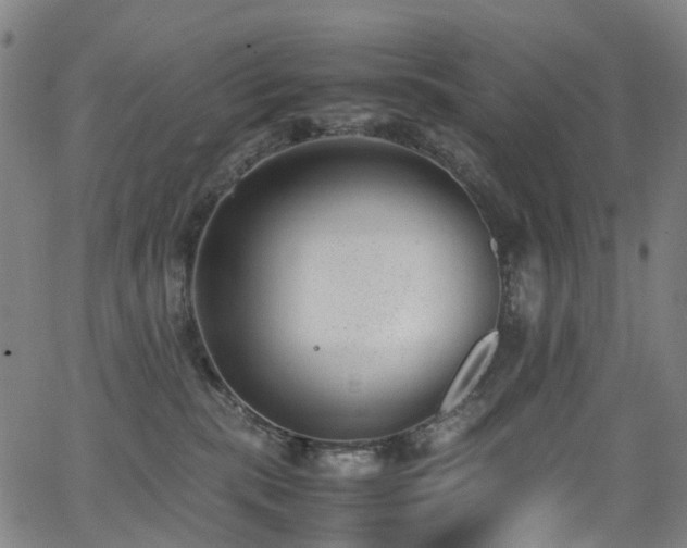 X0000062930283200601131519