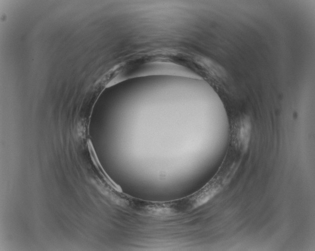 X0000062930284200601131519