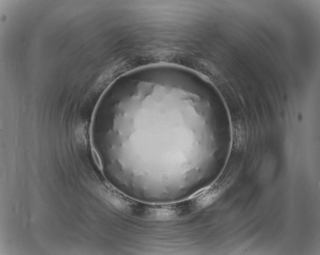 X0000062930286200601131519