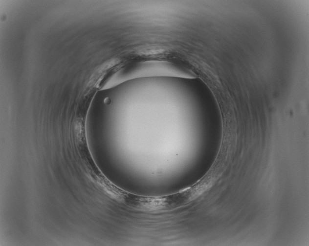 X0000062930288200601131519