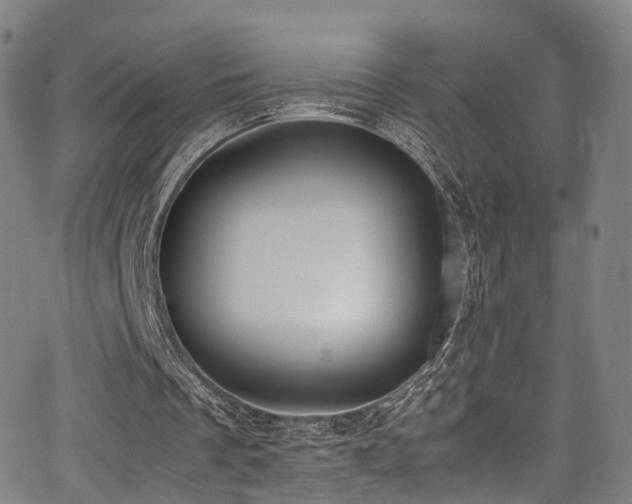 X0000062930289200601131518