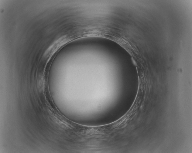 X0000062930290200601131518