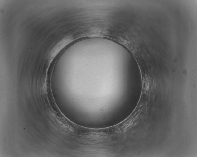 X0000062930292200601131518