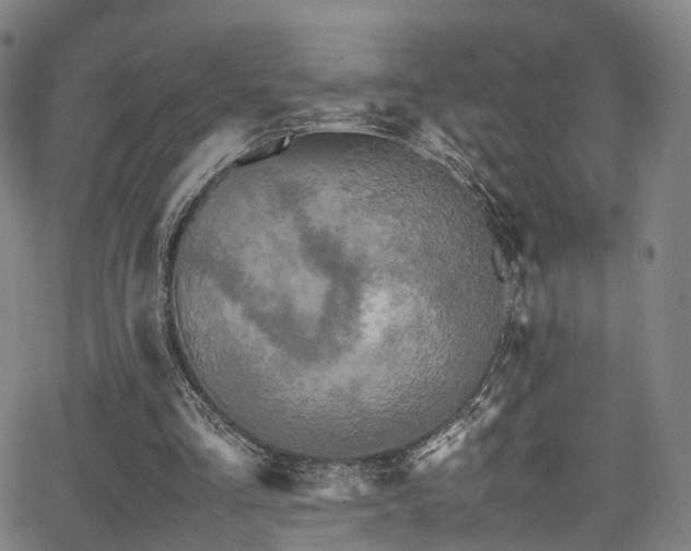 X0000062930293200601131518