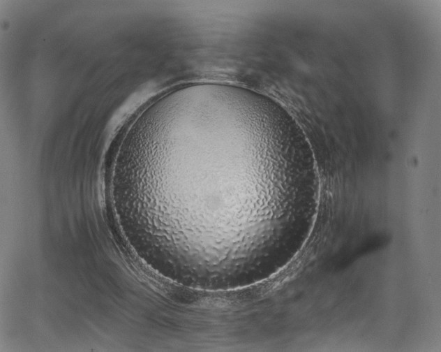 X0000062930294200601131518