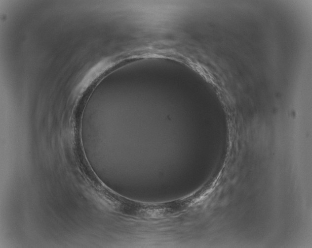 X0000062930295200601131518