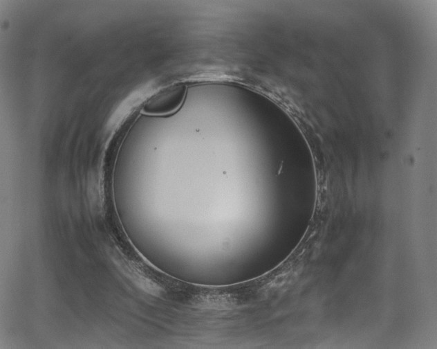 X0000062930296200601131518