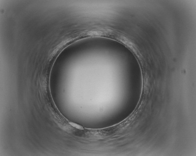 X0000062930297200601131518