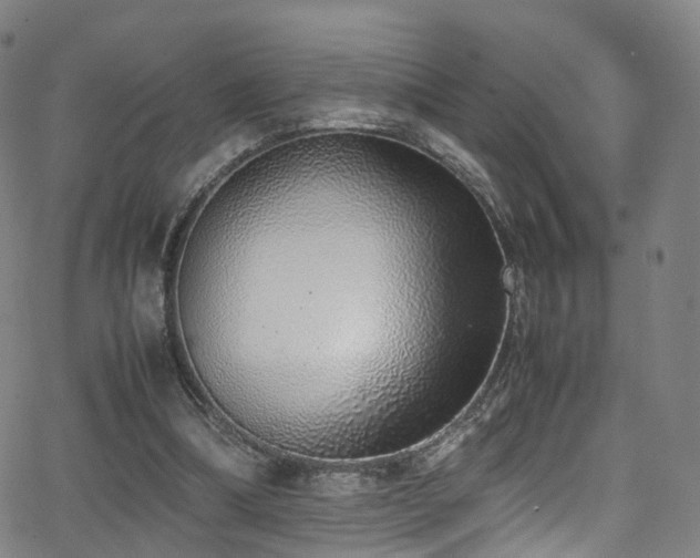 X0000062930298200601131518