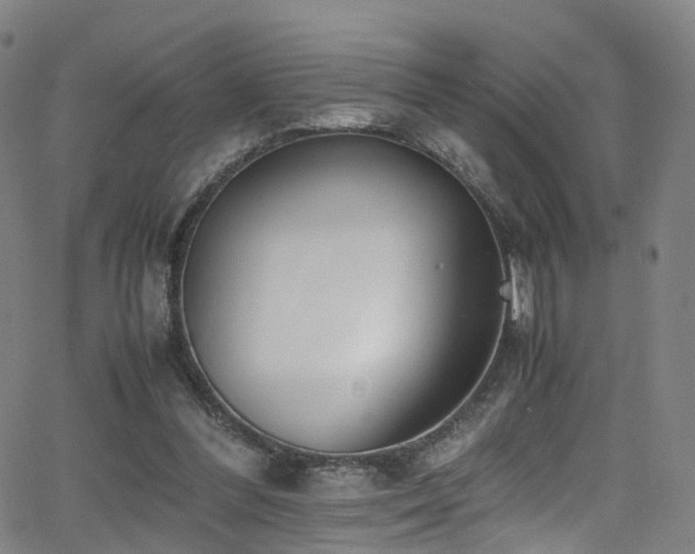 X0000062930300200601131518