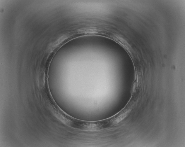 X0000062930301200601131518