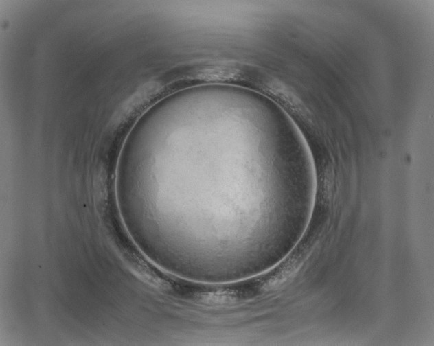 X0000062930303200601131518