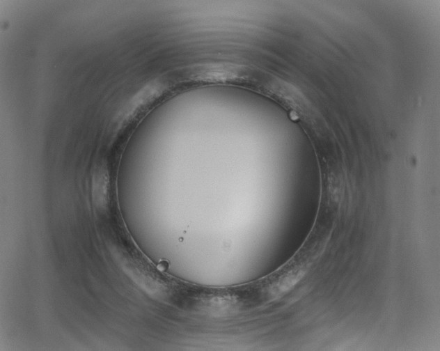 X0000062930304200601131518