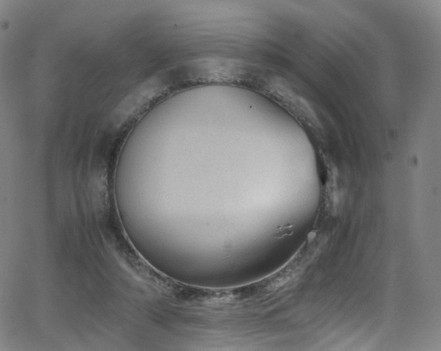 X0000062930306200601131518