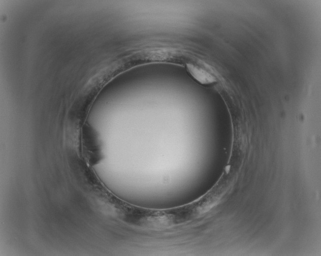 X0000062930307200601131518