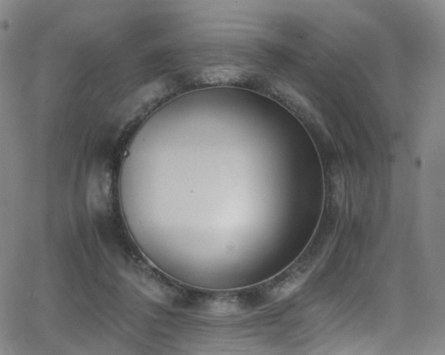 X0000062930308200601131518