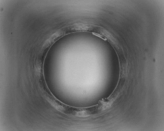 X0000062930309200601131518