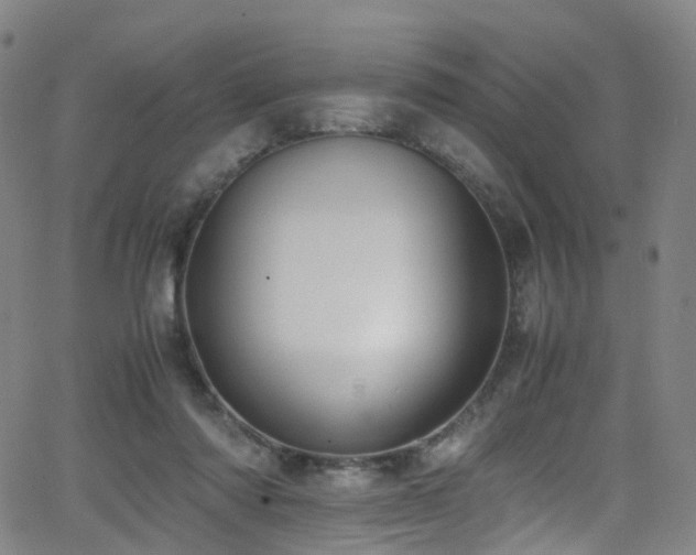 X0000062930310200601131518