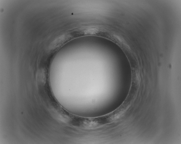 X0000062930311200601131518