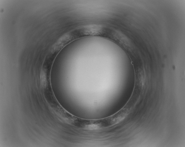 X0000062930312200601131518