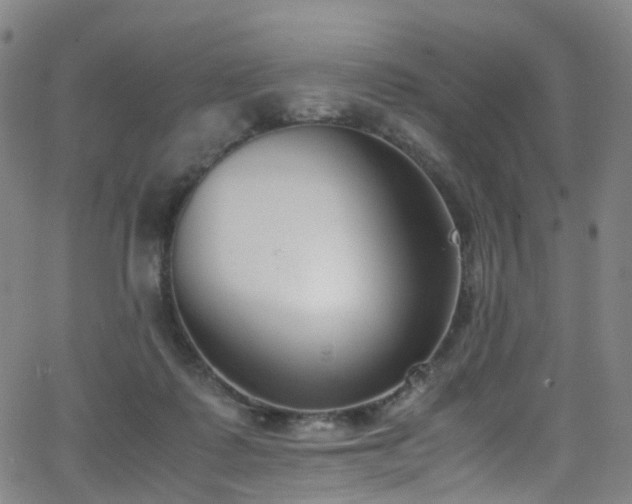 X0000062930315200601131518