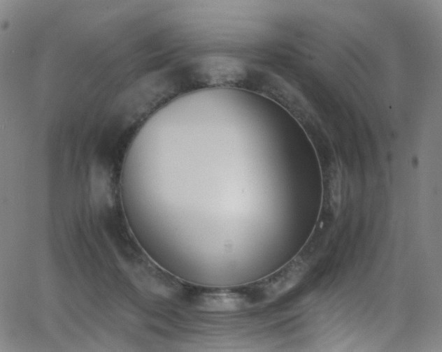 X0000062930316200601131518