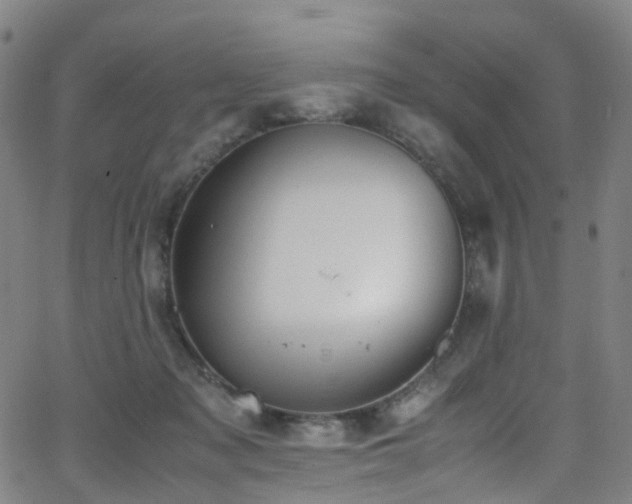 X0000062930317200601131518