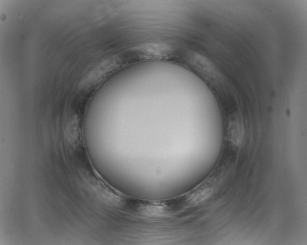 X0000062930318200601131518